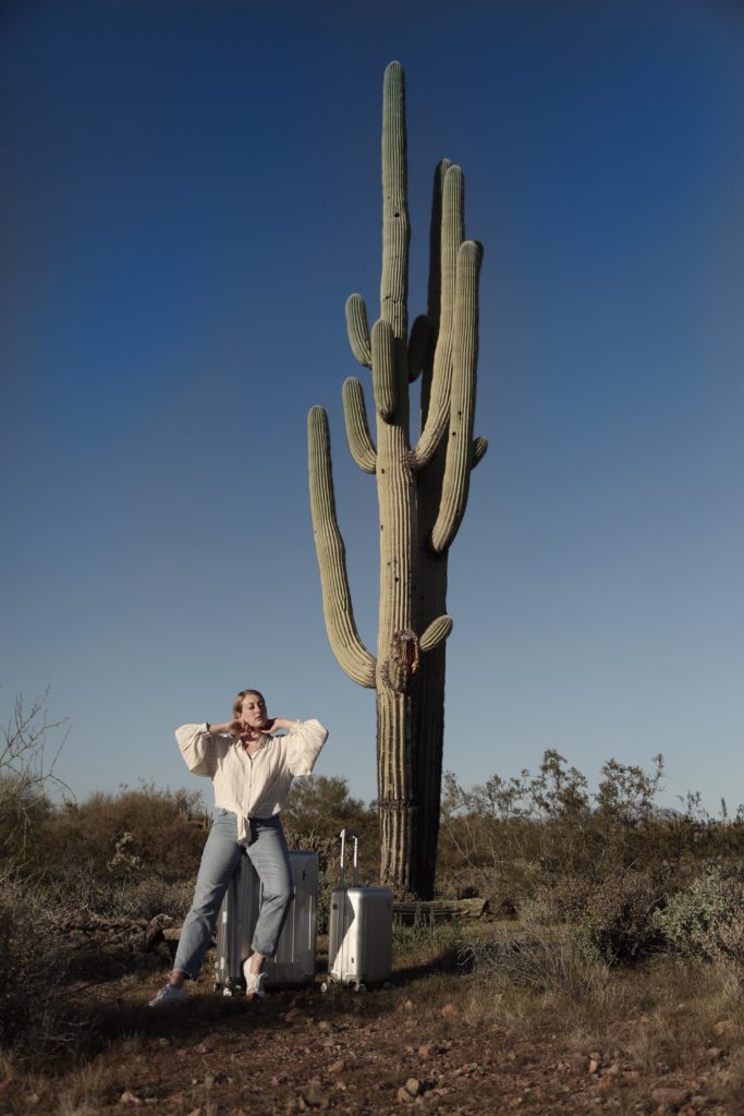 Hardware Koffer Aluminium silber Saguaro Kaktus cactus